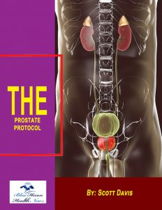 The Prostate Protocol Review